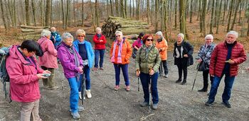 Wandergruppe im Wald