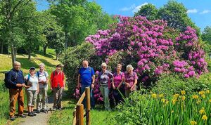 Wandergruppe vor blühendem Rhododendron