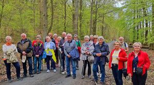 Wandergruppe auf Waldweg