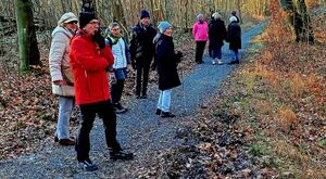 Wandergruppe im Wald