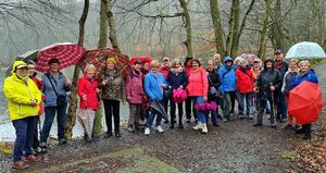 Wandergruppe am See