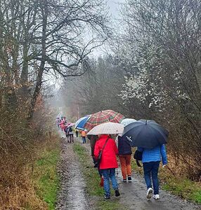 Wandernde unter Regenschirmenschirme