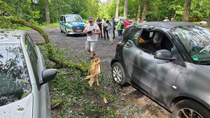 Auto unter abgebrochenem Baum
