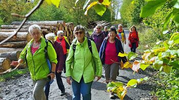 Wandergruppe im Wald