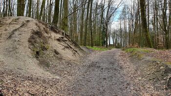 Wälle auf dem Fürstenberg